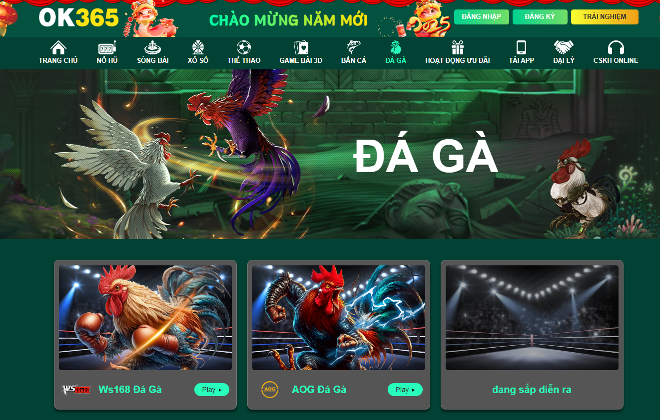 OK365 | Trang Chủ Đăng Nhập Nhà Cái OK365.com Uy Tín 29 Đá gà trực tiếp phát sóng hàng trăm trận mỗi ngày từ các trường gà nổi tiếng, chất lượng HD, giúp người chơi theo dõi và đặt cược dễ dàng